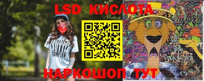 spice Заводоуковск