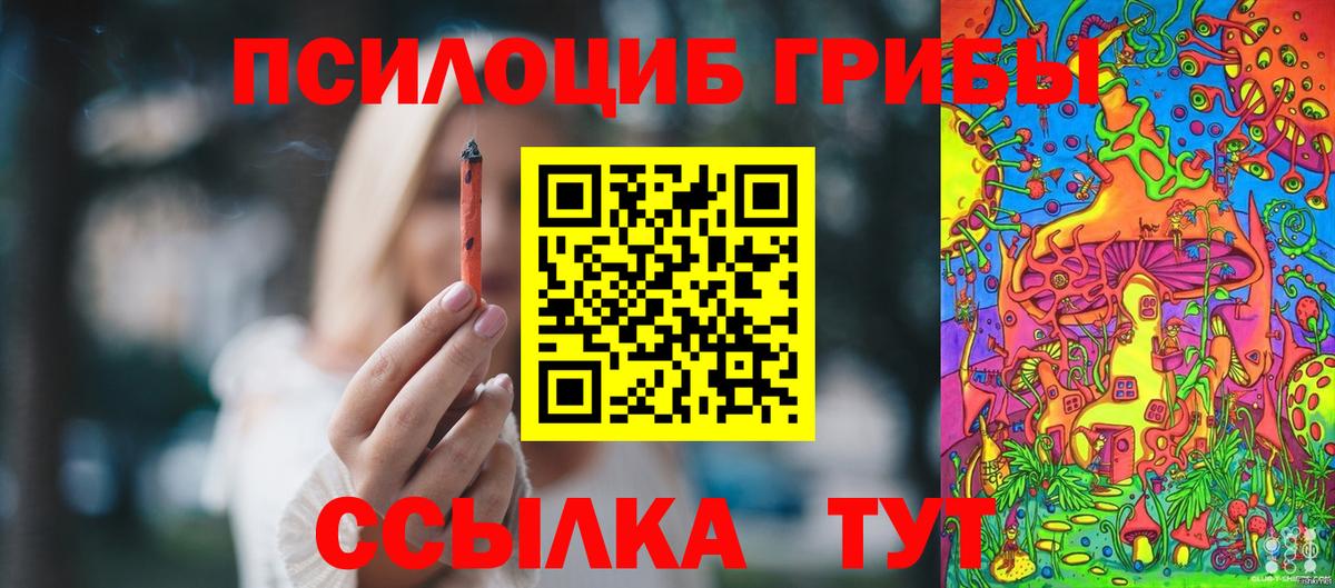 Псилоцибиновые грибы Cubensis Лесозаводск